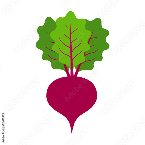 Beet or beets beetroot vegetable or radish with leaves flat vector color icon for apps and websites