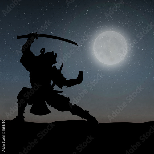 Photo A Samurai Under The Moonlight