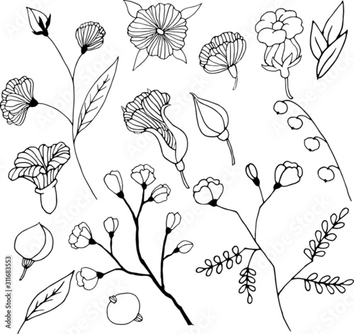 Hand drawn vector set of ornamental floral elements. Black outlines isolated on white background. Doodle style illustration. Vintage decoration for greeting cards, gifts, wrapping paper etc.