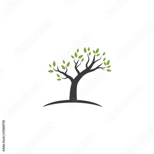 Tree logo template