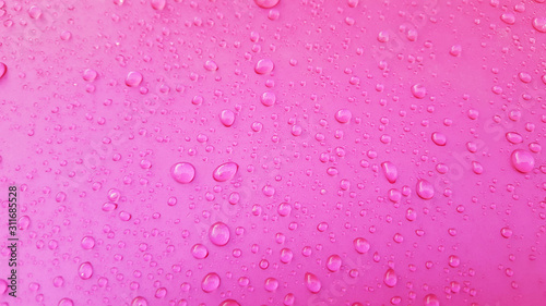 Water Drops background on the pink glossy surface  Rain droplets on pink texture for cosmetics  drink product.