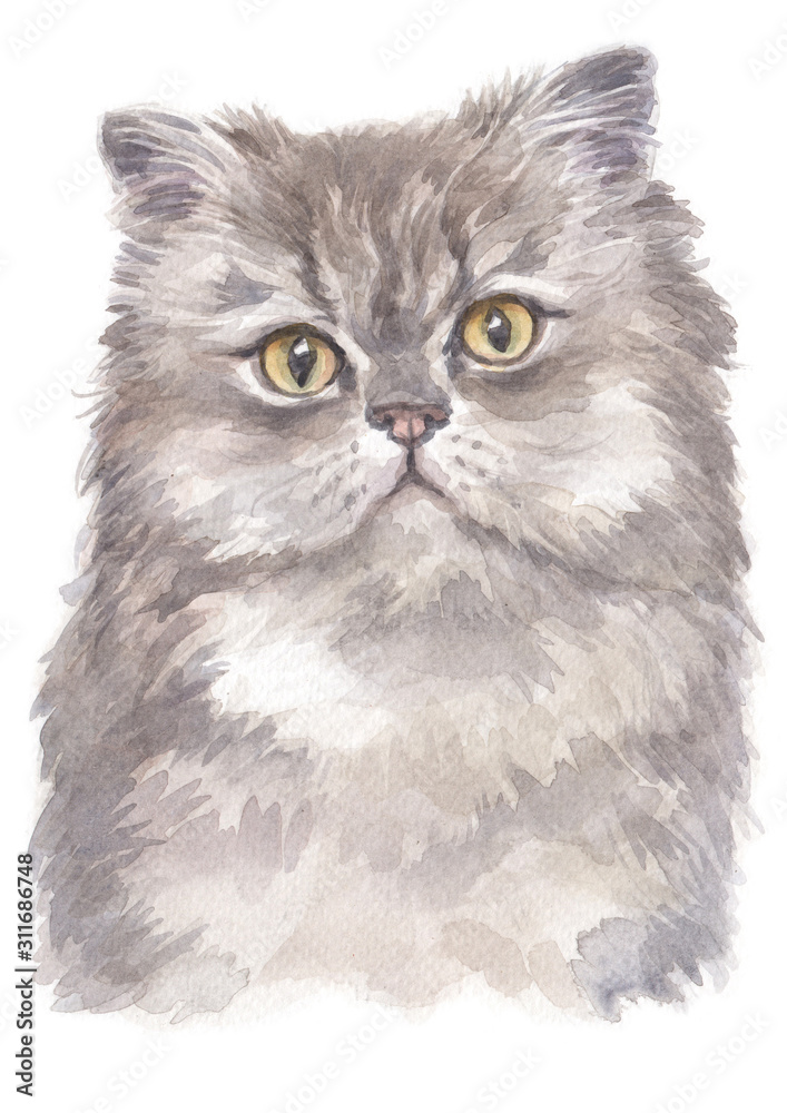 Water colour painting of Persian cat 005