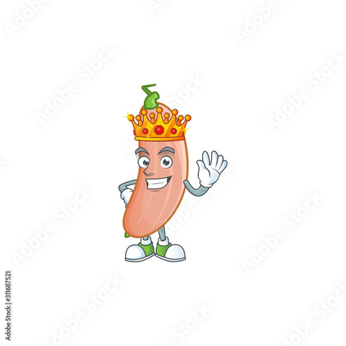 Cool King of banana squash on cartoon character style