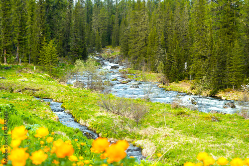 river in forest, Sayan mountains, Siberia