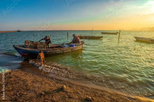 fishermen and dogs returning from prey