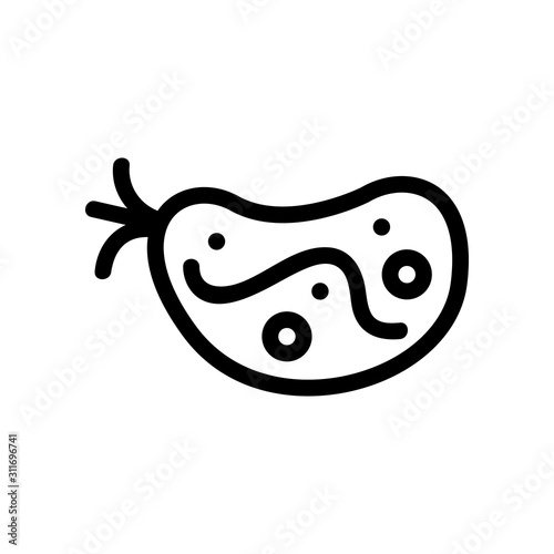 Bacterium icon vector. A thin line sign. Isolated contour symbol illustration