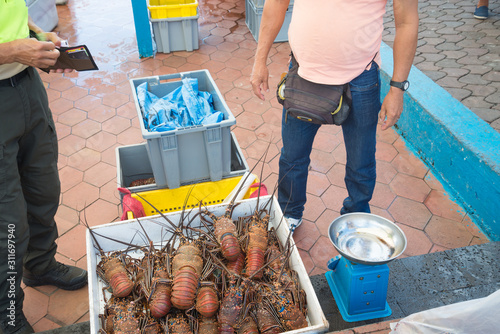 Buyer and seller negotiating for several fresh lobsters at the fish market. Puerto Ayora, Galapagos