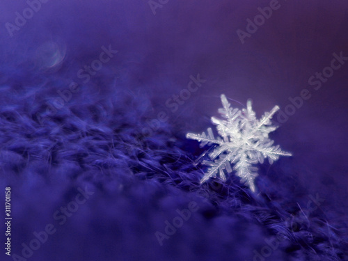 one white snowflake made of ice crystals lies on a purple knitted woolen cloth, closeup, the concept of seasonal changes in nature, weather, first snow