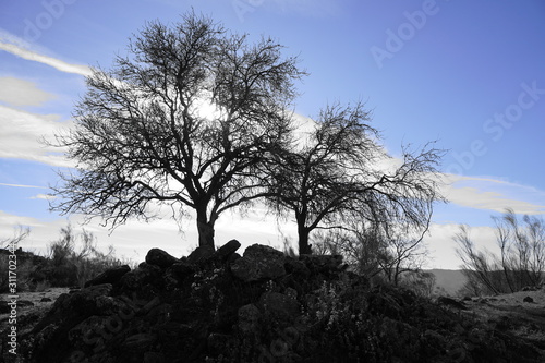 el chorro malaga andalusia spain
