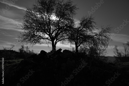 el chorro malaga andalusia spain