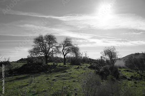 el chorro malaga andalusia spain