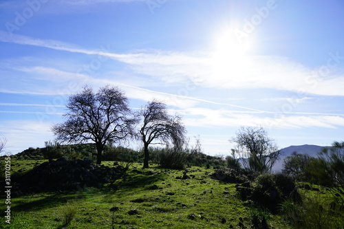 el chorro malaga andalusia spain