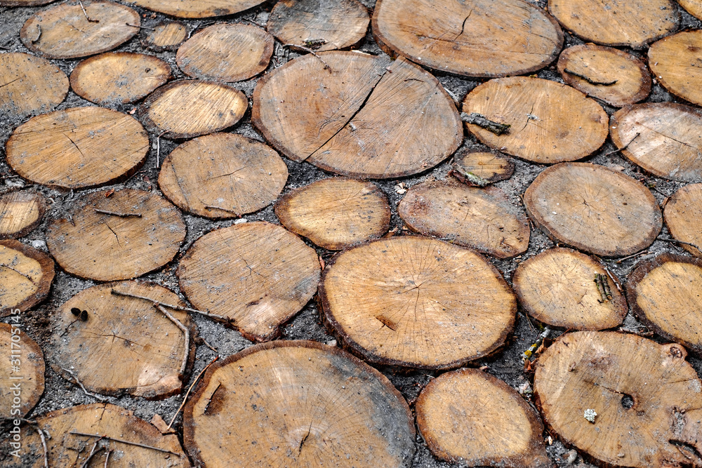 Beautiful walkway made of round slices of a tree trunk Beautiful walkway made of round slices of a tree trunk