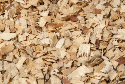 Wood sawdust close up background