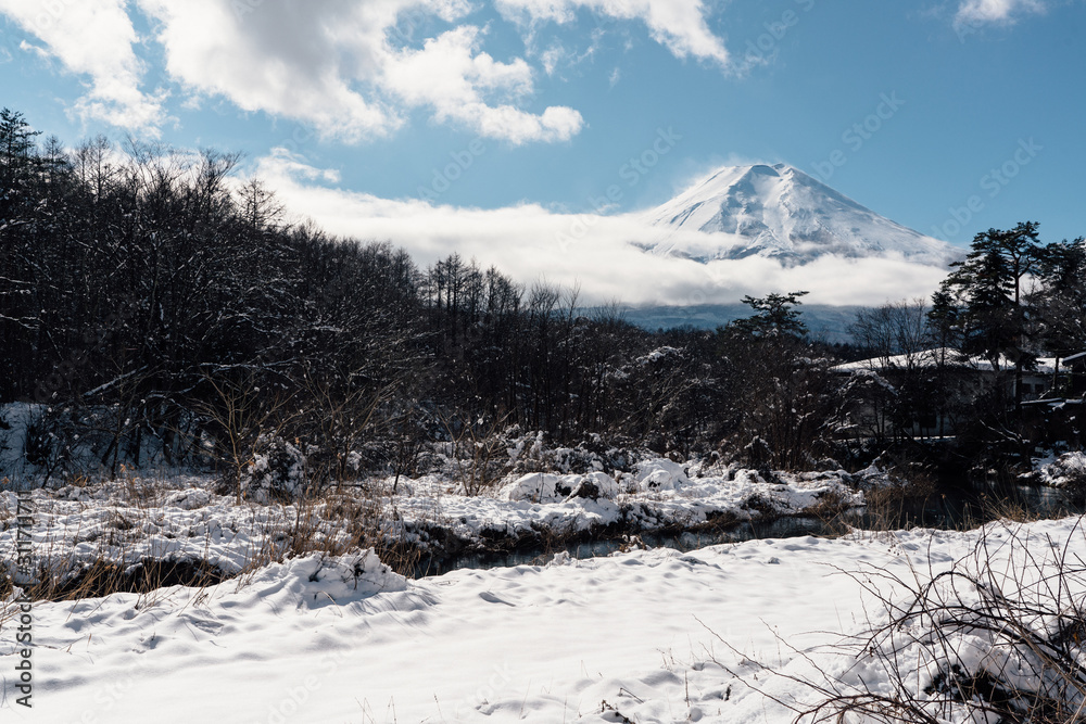 Obraz premium 忍野村の雪景色と富士山 / Mount Fuji