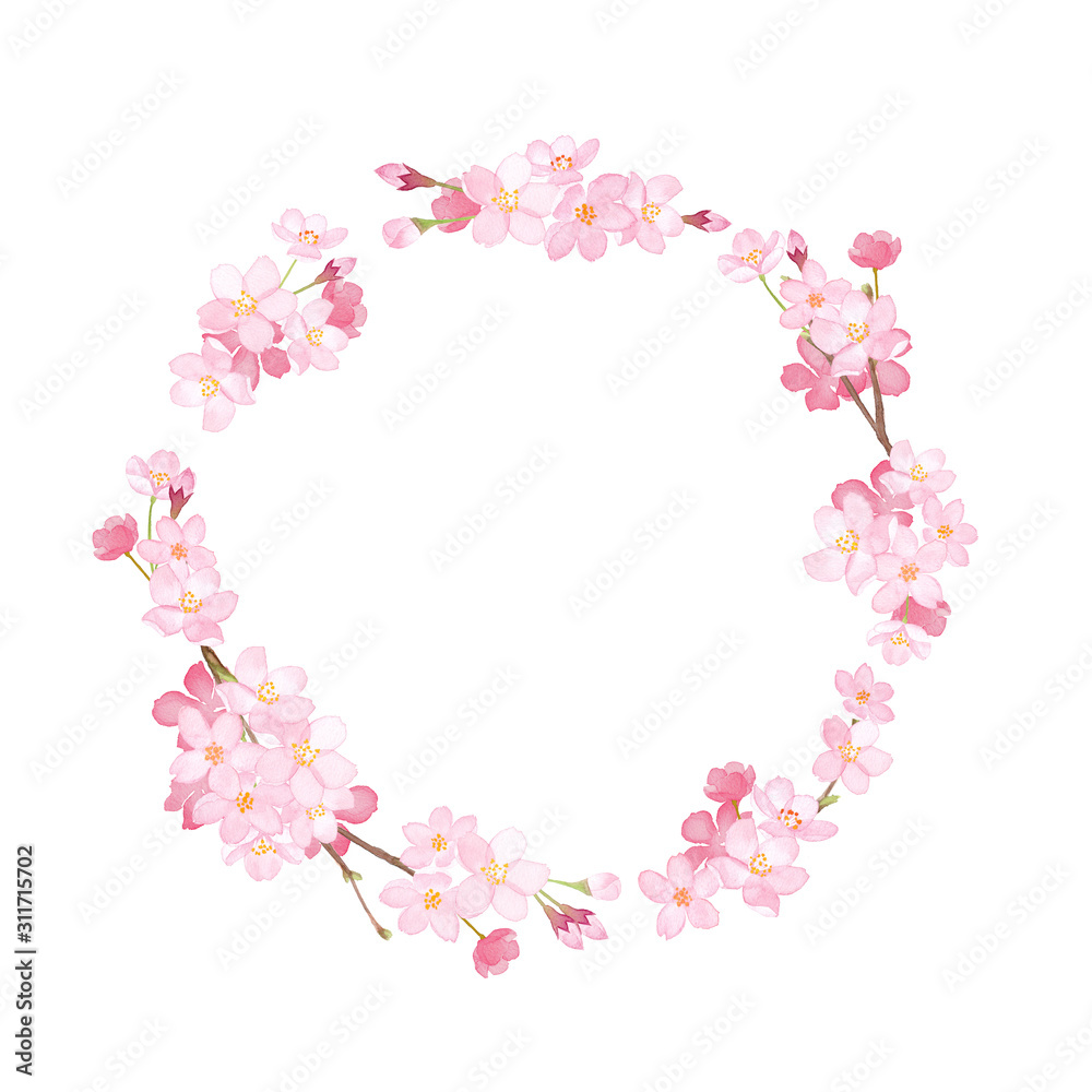 春の花：さくらの円形フレーム。水彩イラスト