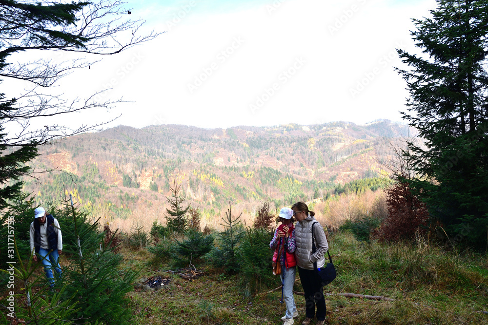 Tourist Family during a hike on a forest ridge collects and eat blueberries in autumn