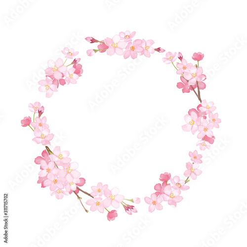 春の花：さくらの円形フレーム。水彩イラスト