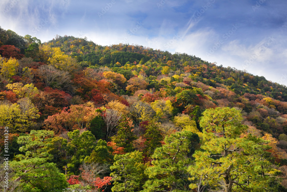 Autumn season on mountain at Arashiyama area in Kyoto, Japan Autumn season on mountain at Arashiyama area in Kyoto, Japan