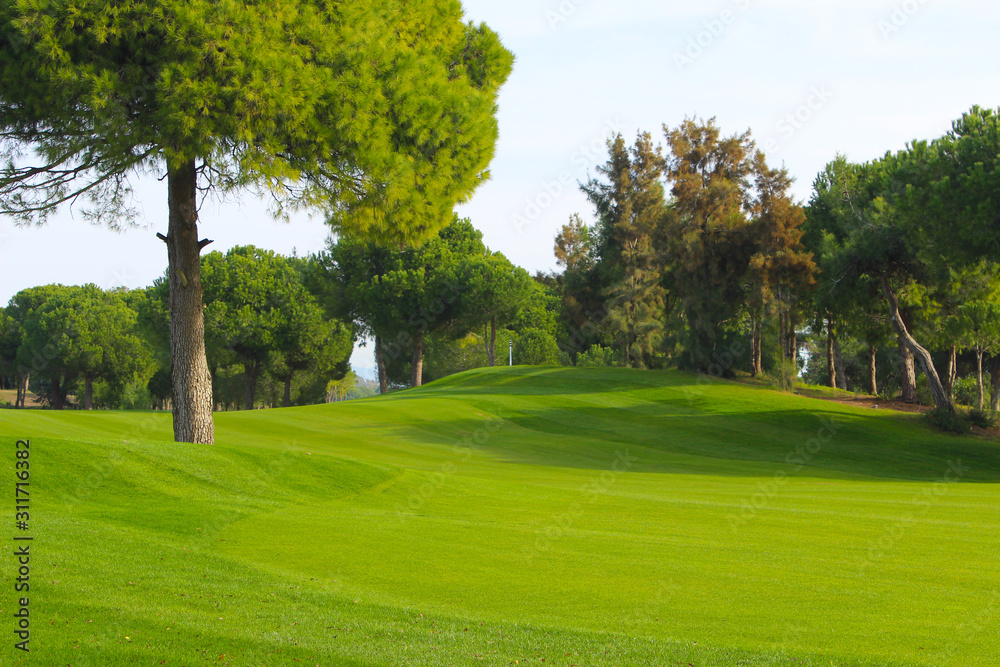 Obraz premium pole golfowe w parku