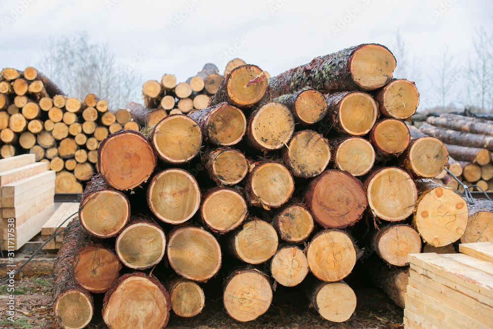 Timber production, Wooden planks on timber yard, warehouse or sawmill Timber production, Wooden planks on timber yard, warehouse or sawmill