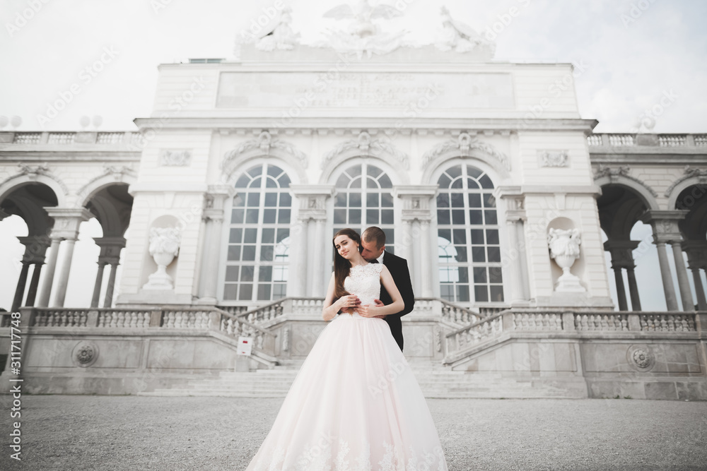 Obraz premium Lovely happy wedding couple, bride with long white dress