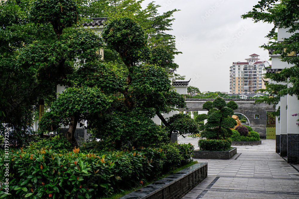 Chinese trees bonsai, bushes and plants in the square in big city. Travel over the world, nature concept