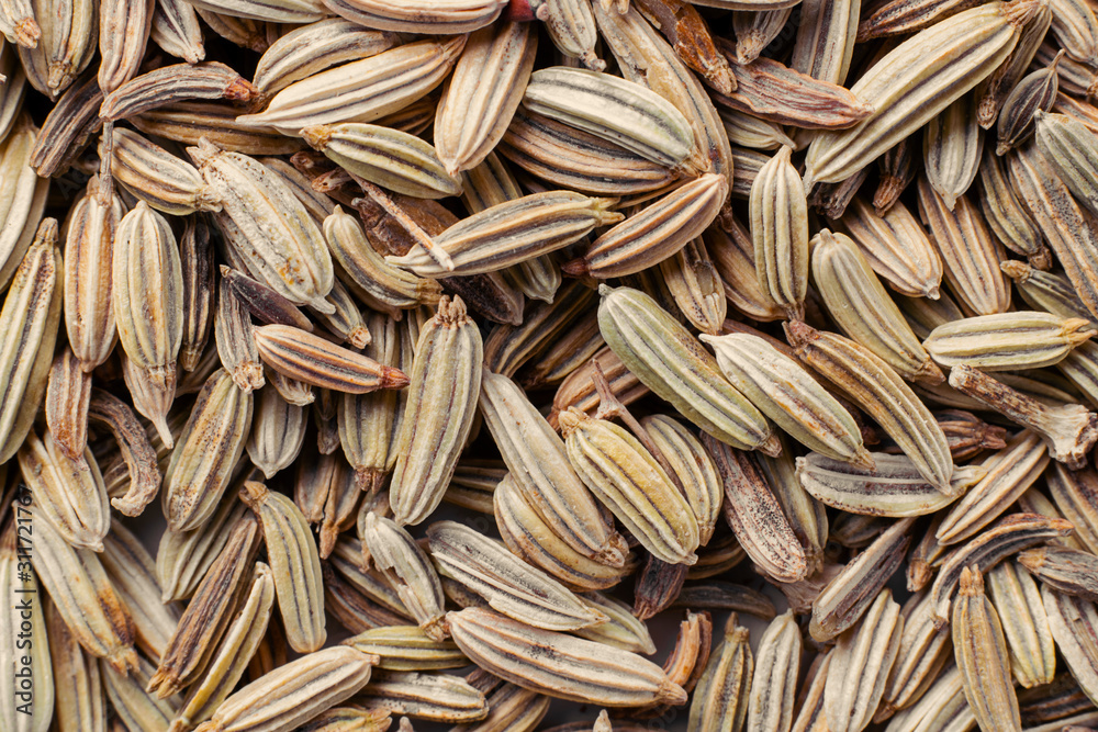 Raw dry fennel seeds, spice for cooking, baking and flavouring desserts. Background for desing about gastronomy and cuisine. Horizontal. Macro. Raw dry fennel seeds, spice for cooking, baking and flavouring desserts. Background for desing about gastronomy and cuisine. Horizontal. Macro.