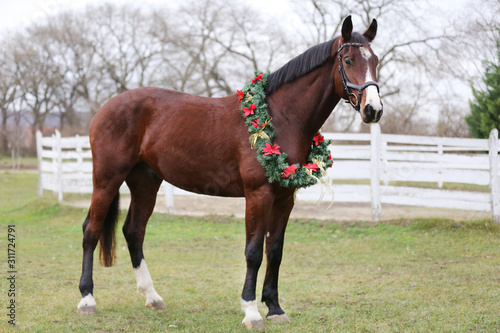Dreamy christmas image of a saddle horse wearing beautiful holiday wreath