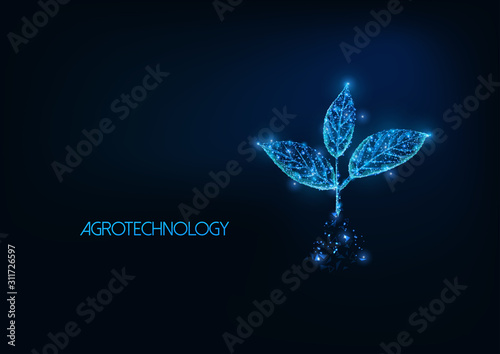 Futuristic agrotechnology, agriculture concept with glowing low polygonal plant sprout