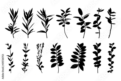 Set silhouettes of tree branches isolated on a white background. Vector illustration of plants