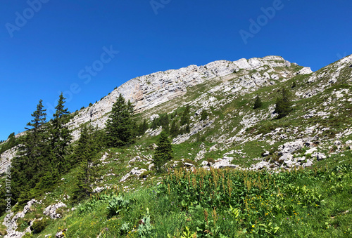 Schiberg Mountain above the valley Wagital and alpine Lake Wagitalersee (Waegitalersee), Innerthal - Canton of Schwyz, Switzerland photo