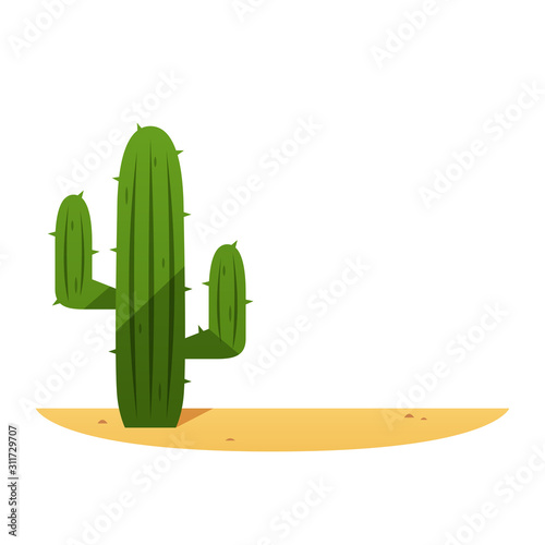 Desert cactus vector isolated illustration