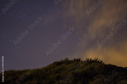 Night sky in the wild
