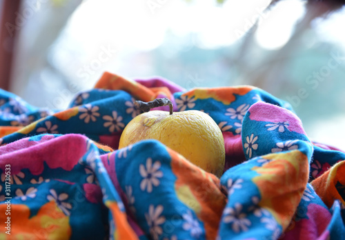 organic and fresh apples on a fabric background