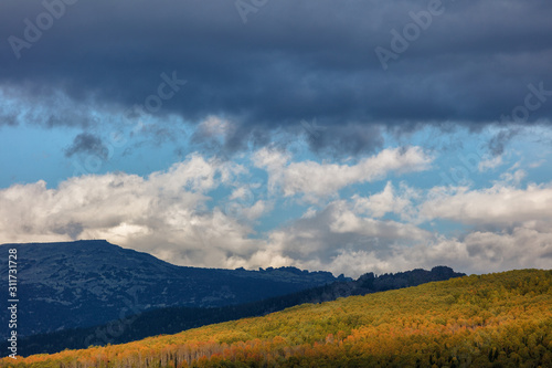 postcard autumn in the mountains. panorama of a mountain valley with contours of highlands and hills. dramatic autumn sky and bright yellow orange colors of the forest