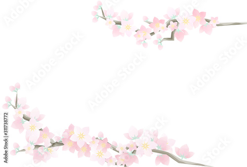 ポストカードサイズ 桃の花のフレーム 横
