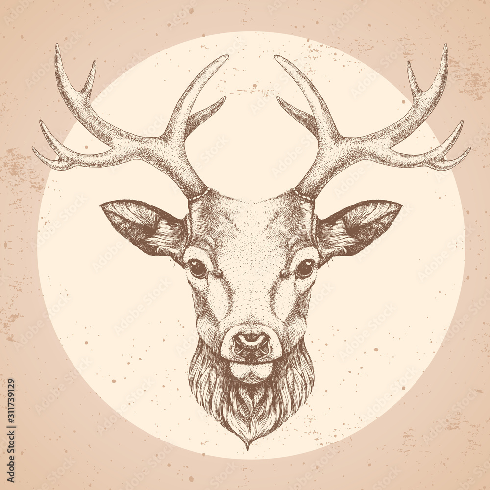 Hipster animal deer. Hand drawing Muzzle of deer Stock Vector | Adobe Stock