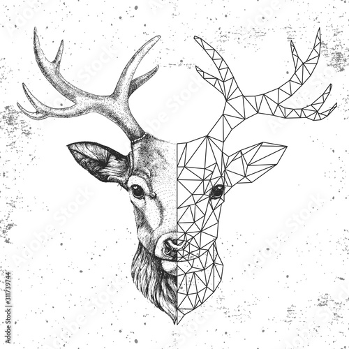 Hipster animal realistic and polygonal deer face. Triangle animal