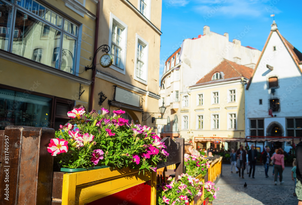 Flowers, old town, Tallinn, Estonia