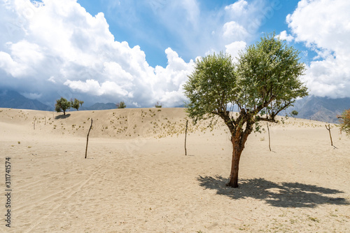 Skardu Katpana Desert 29