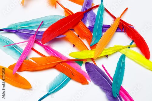 Bunte Federn von einem Vogel zum Basteln mit Kindern oder in der Schule, einfaches Bastelmaterial photo