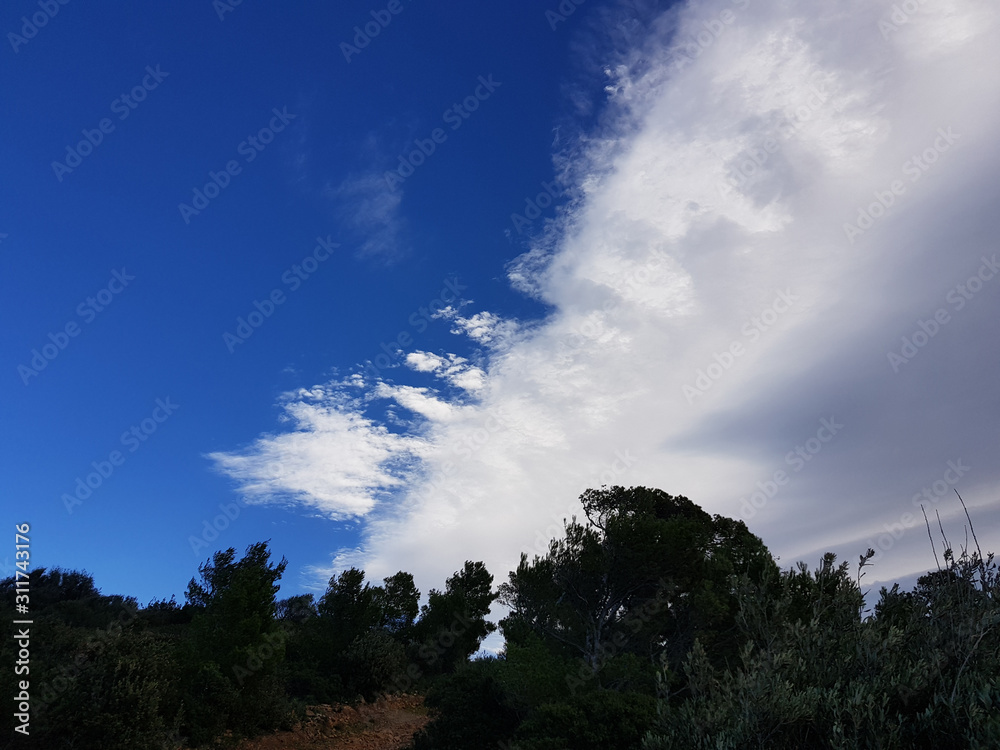 Paesaggio Paesaggio