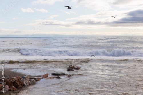 Mare in Inverno  Loano  Liguria  Italia