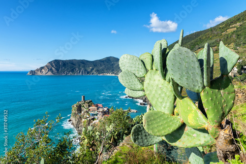 Green cactus on a background of medieval village - Vernazza, Cinque Terre National Park in autumn