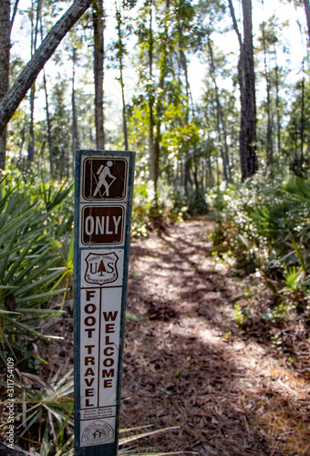 Hiking the Beautiful Trails of Florida State Parks