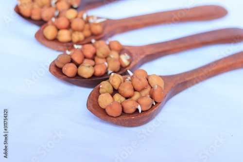 fresh germinated chickpeas with wood spoon on white background