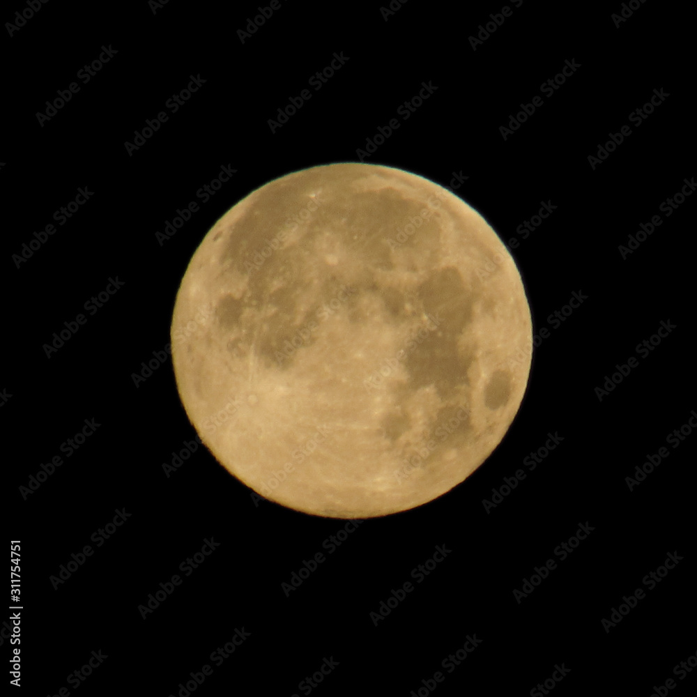 Obraz premium Luna llena de color amarillo