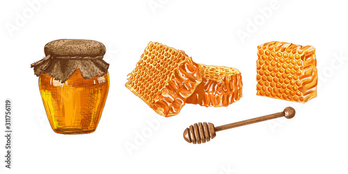 Hand drawn colorful honey jar, honey comb and wooden honey dipper isolated on white background. Vector illustration.