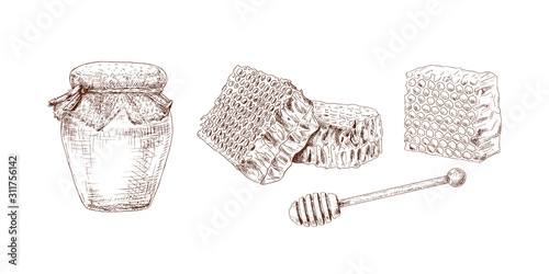 Hand drawn honey jar, honey comb and wooden honey dipper isolated on white background. Vector illustration.
